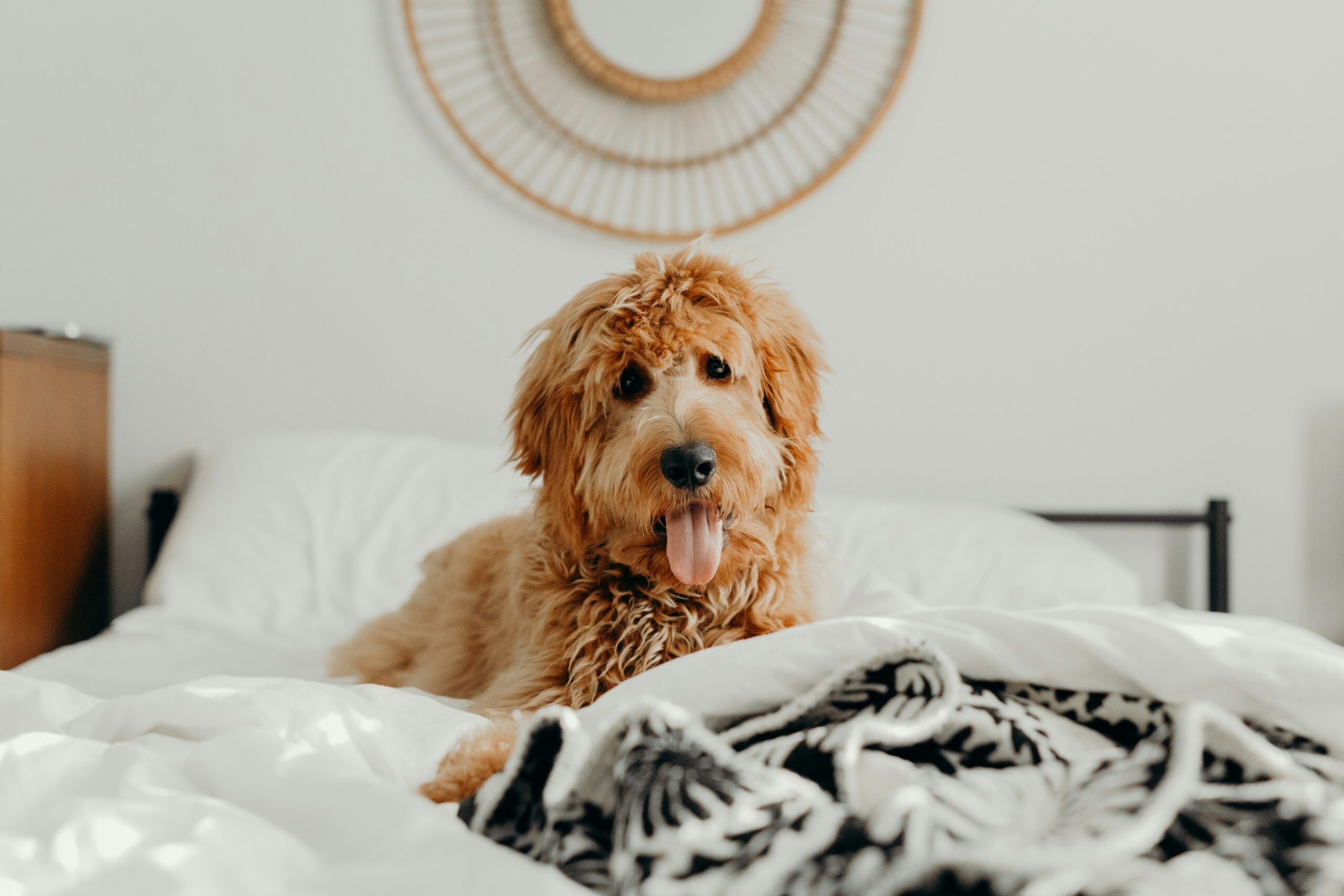 brooke-cagle-szzLdR9800c-unsplash