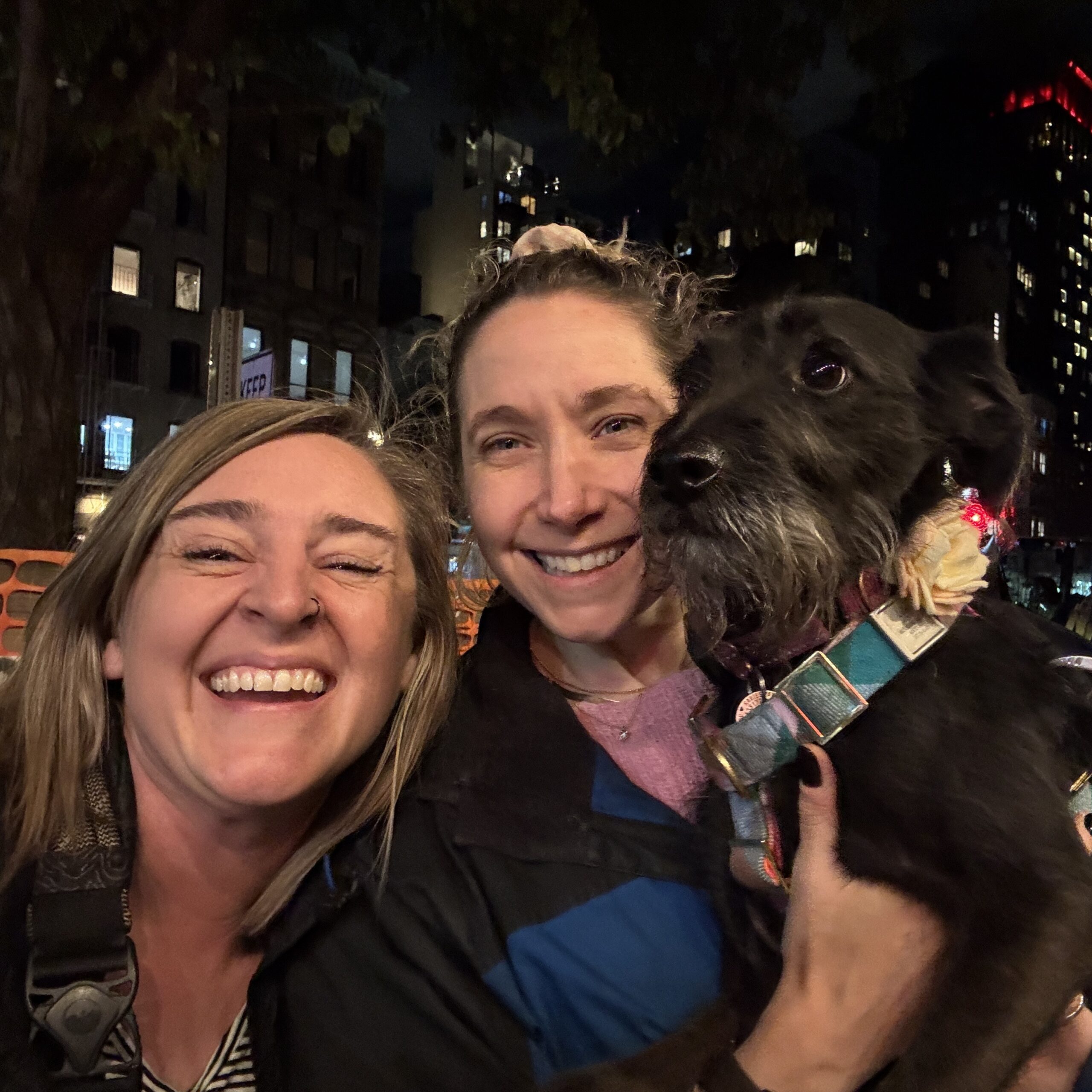 Meditation and Yoga Teacher